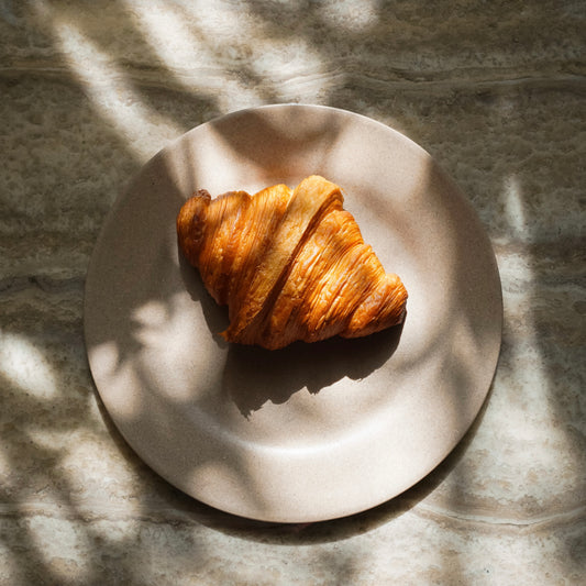 Rice Husk Starter Plate (Set of 4)